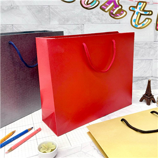 四季紙品禮品 光彩提袋橫1號 紙袋 禮物袋 BD1100